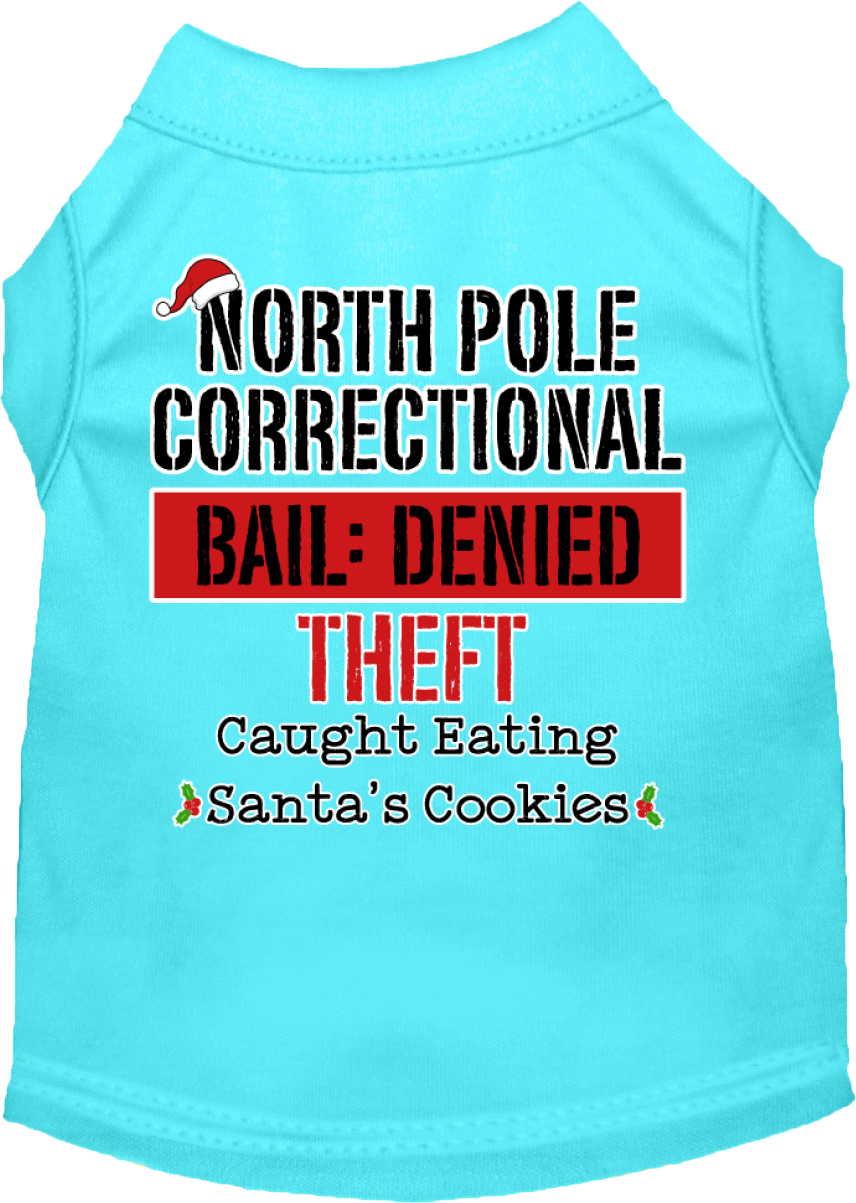 North Pole Correctional Screen Print Dog Shirt Aqua Size LG